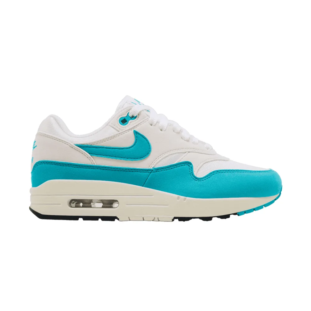 Nike Wmns Air Max 1 Dusty Cactus
