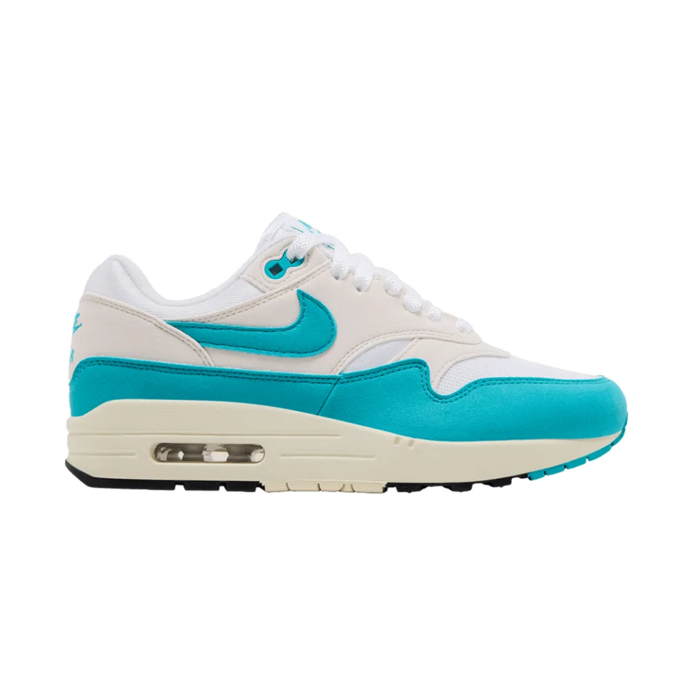 Nike Wmns Air Max 1 Dusty Cactus