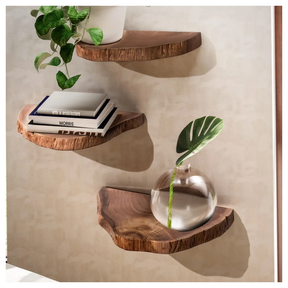 FineBuy Wandregal 3er Set Akazie Vollholz Hängeregal Baumscheibe, Natur Pflanzentreppe für die Wand, Schweberegal Hängend mit Baumkante, Blumentreppe Baumstamm Modern