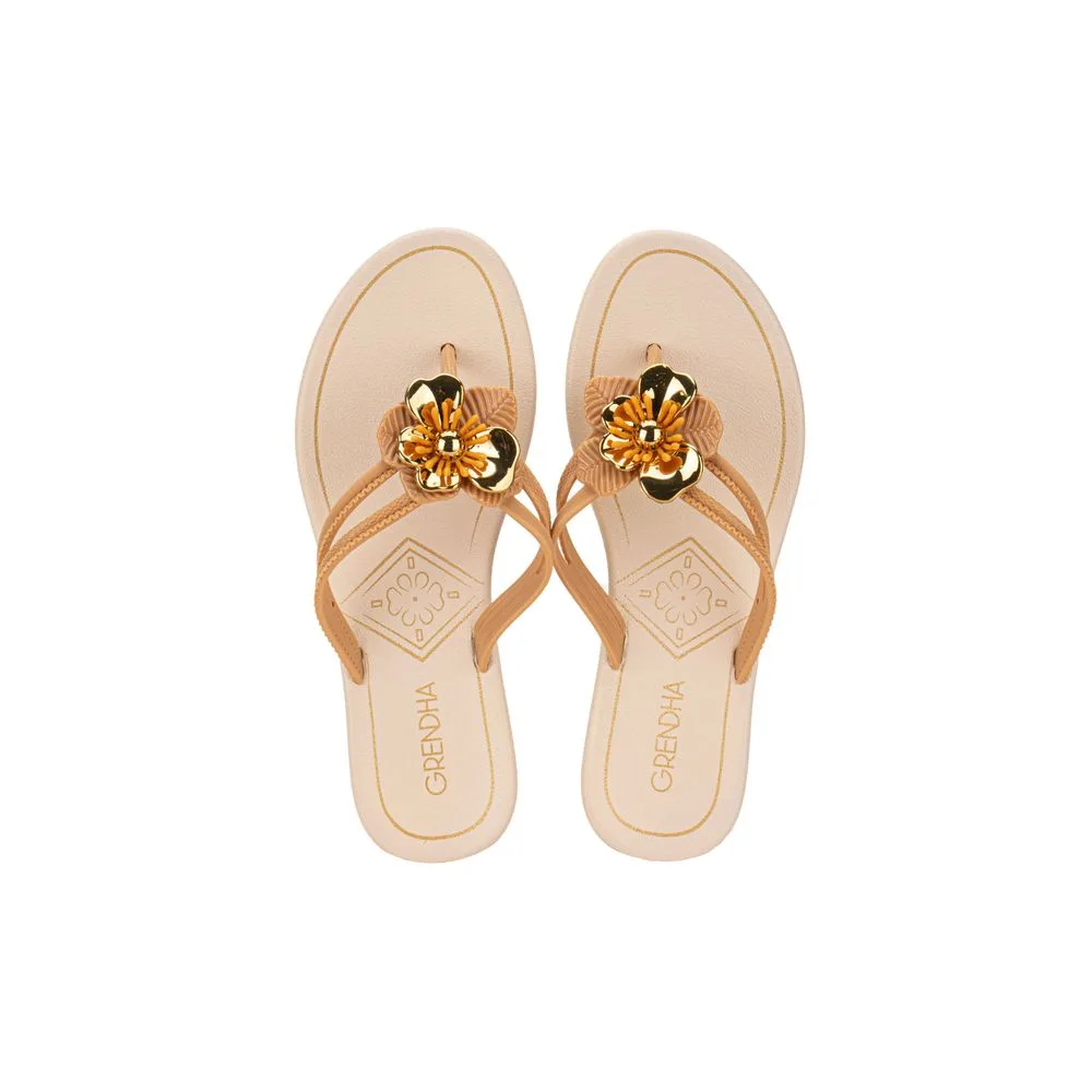 Chinelo Feminino Celebrar Momentos Grendha 19136 BEGE 33/34