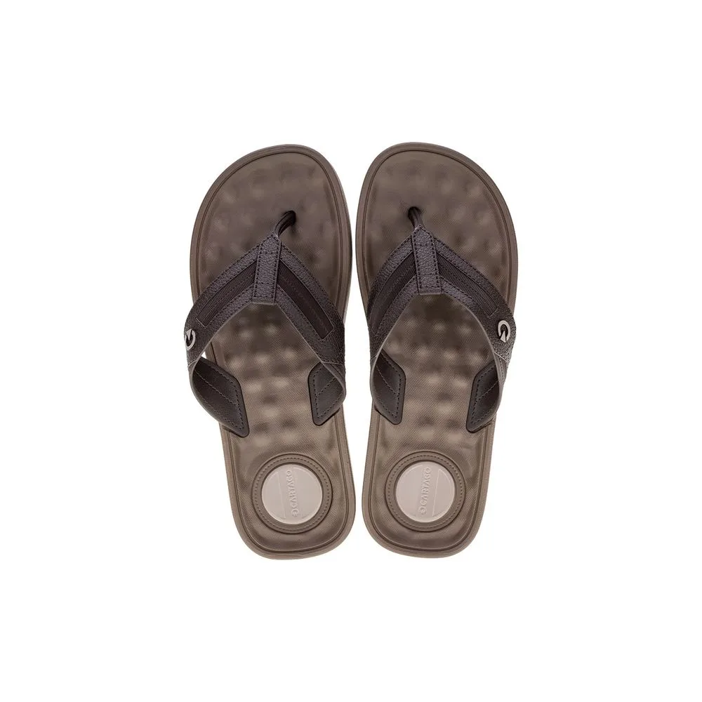 Chinelo Masculino Alabama Cartago - 11859 CAFÉ 37/38