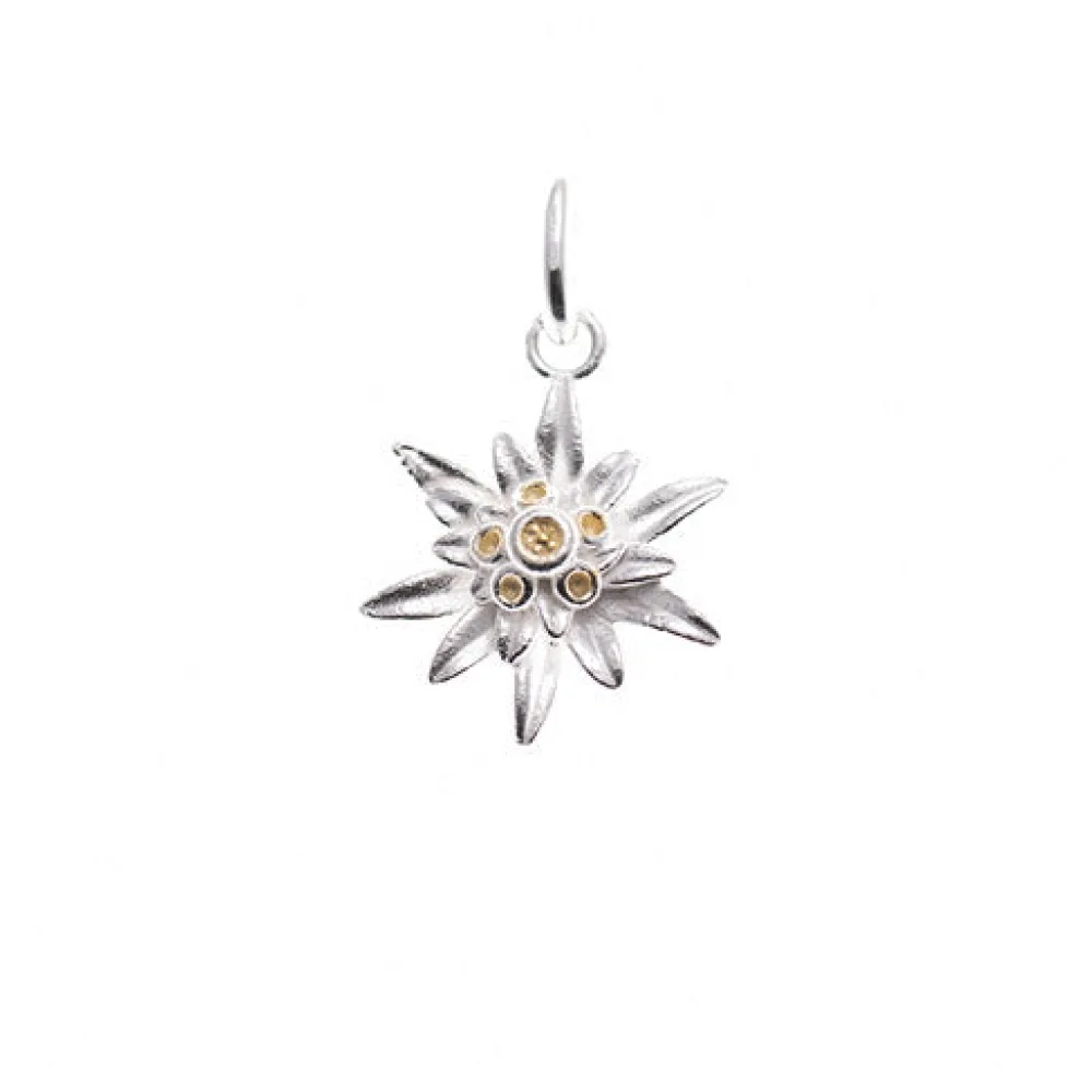 Anhänger 925 Silber Tracht Edelweiss S