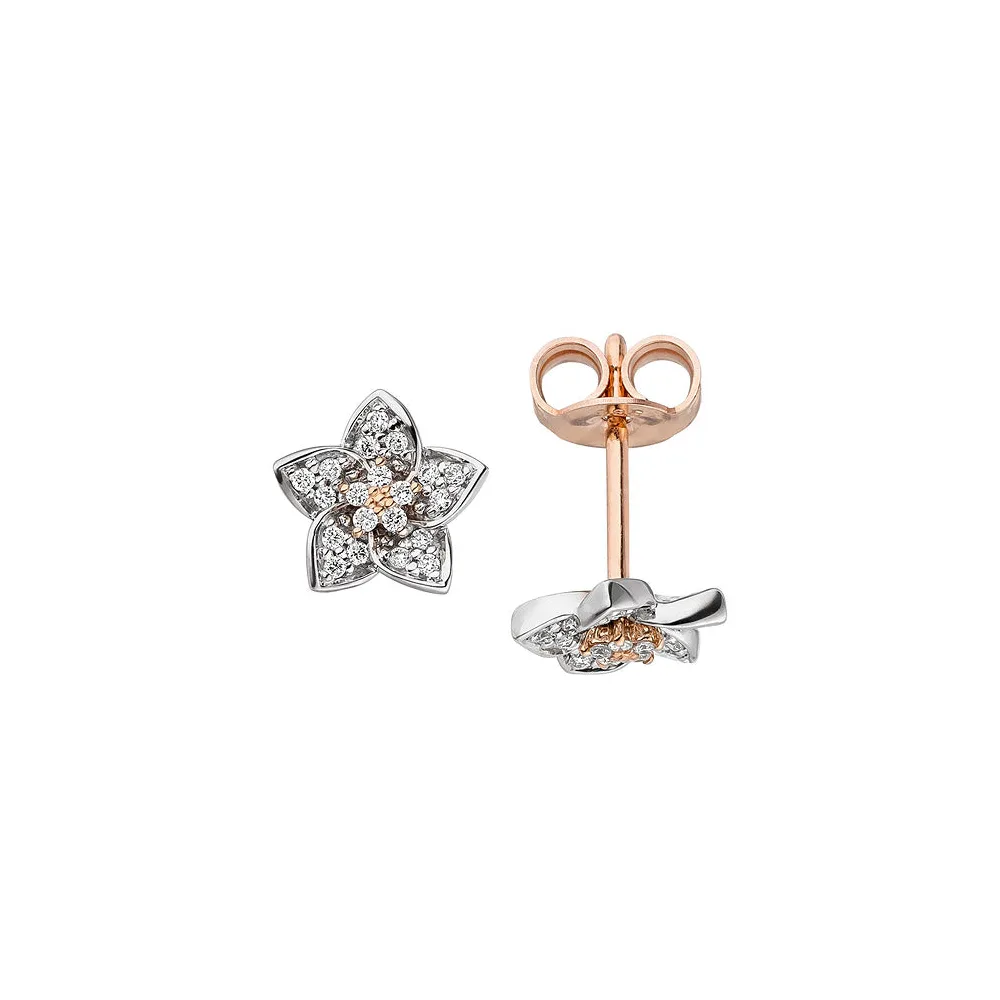 Ohrstecker Blume 585 Gold Rotgold Weißgold bicolor 40 Diamanten Brillanten