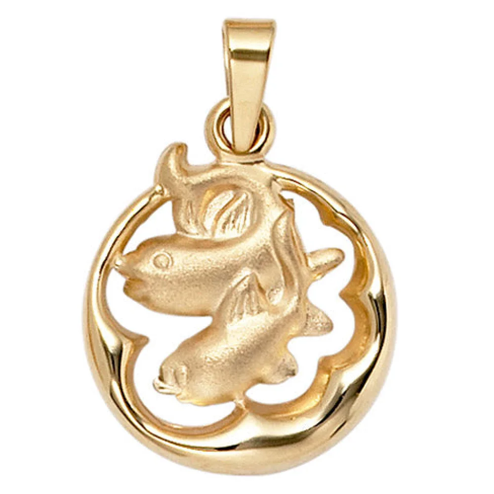 Anhänger Sternzeichen Fische 375 Gold Gelbgold matt Sternzeichenanhänger