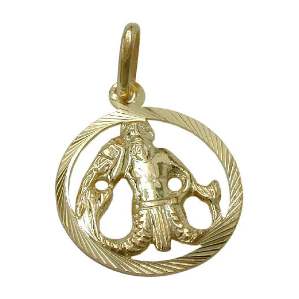 Anhänger Sternzeichen Wassermann Gold 375