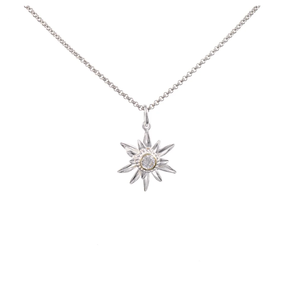 Anhänger Edelweiss mit Kette 925 Silber teilvergoldet Zirkonia weiss