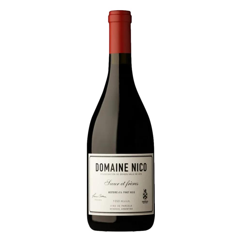 Domaine Nico Histoire d'A Pinot Noir 2022
