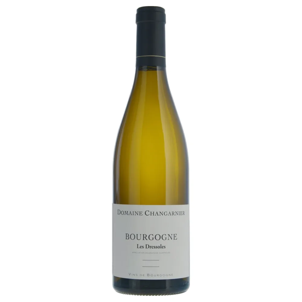 Domaine Changarnier Bourgogne Blanc Les Dressoles 2022