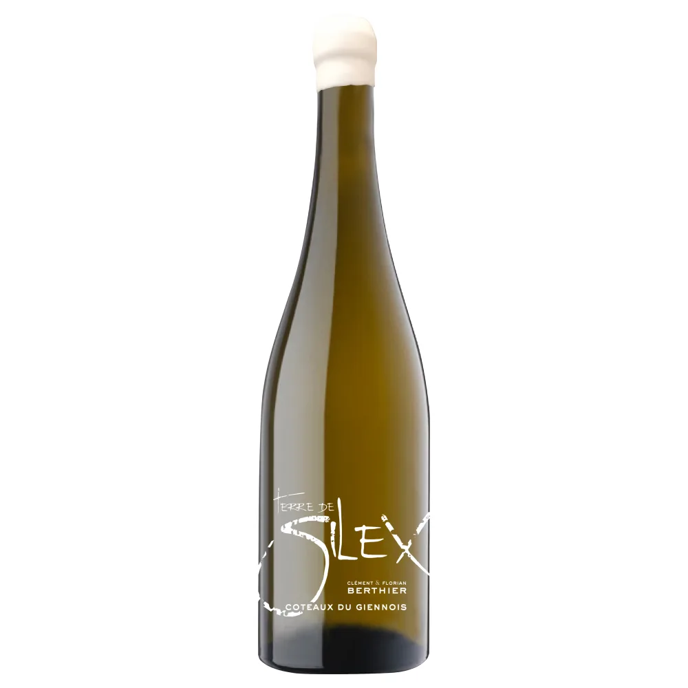 Clement & Florian Berthier Coteaux du Giennois Terre de Silex 2023