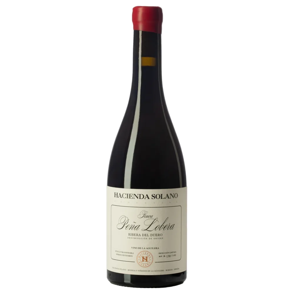 Hacienda Solano Finca Pena Lobera 2021
