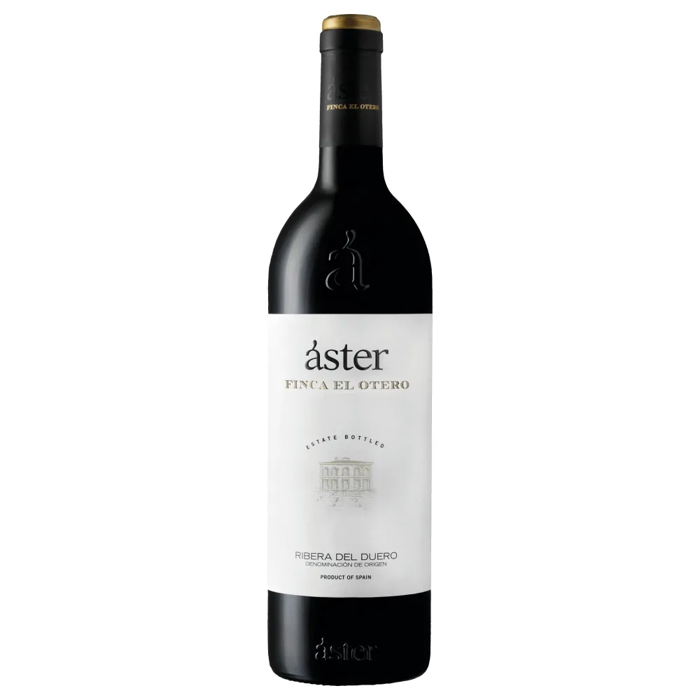 Aster Finca El Otero 2021