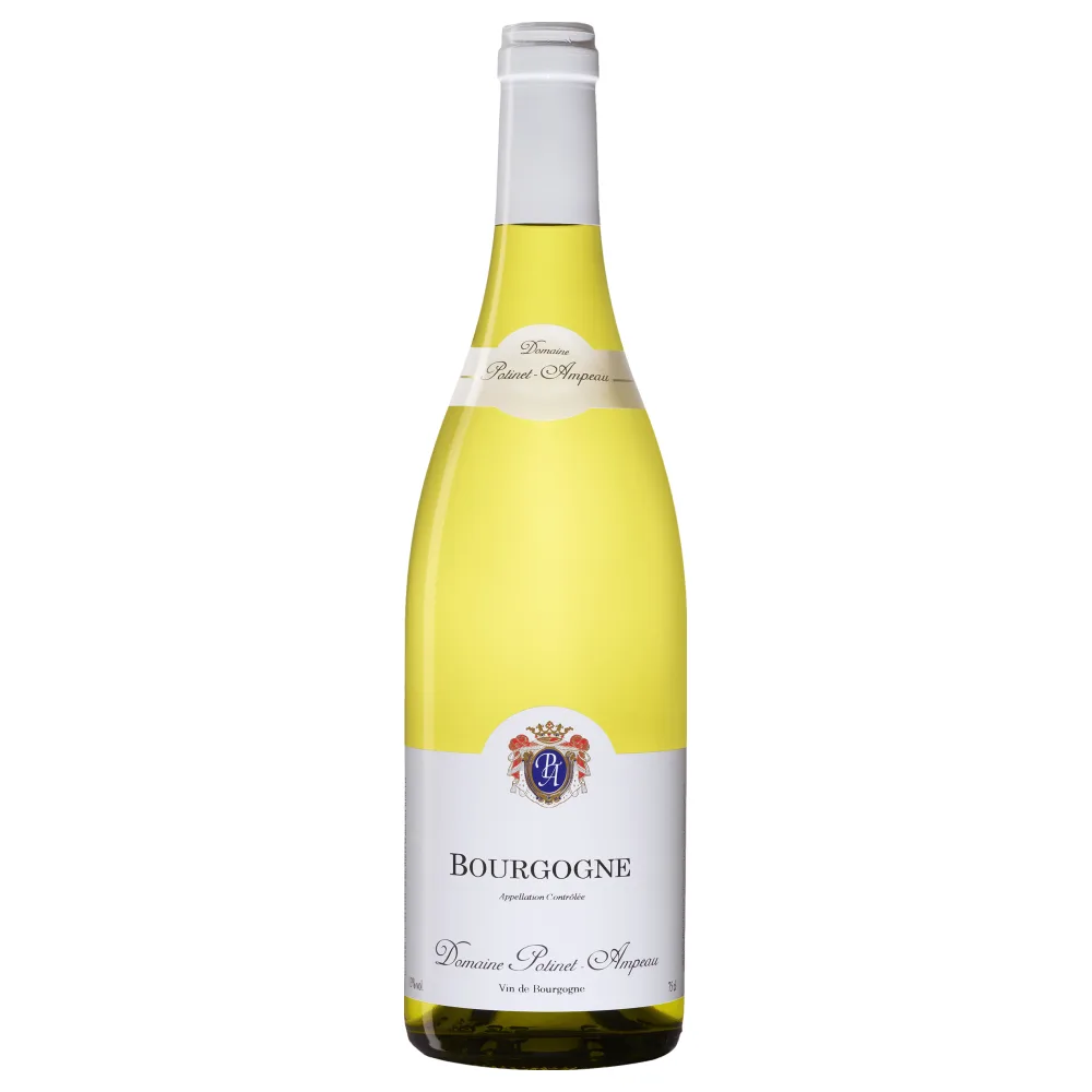 Domaine Potinet-Ampeau Bourgogne Blanc 2020