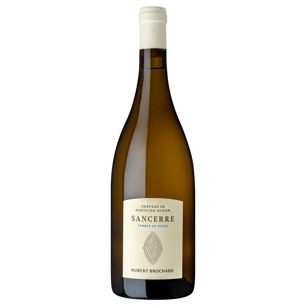 Hubert Brochard Chateau de Fontaine Audon Sancerre Terre de Silex 2024