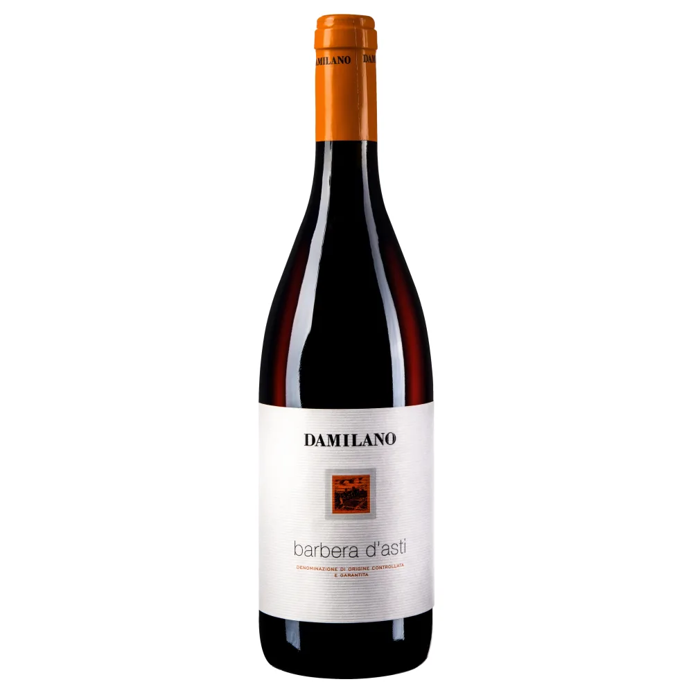 Damilano Barbera d'Asti 2024