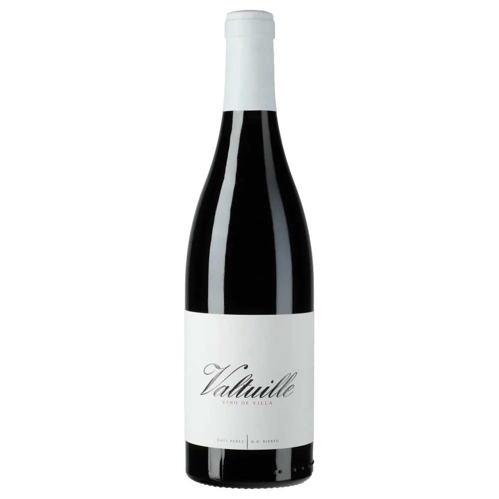 Castro Ventosa Valtuille Vino de Villa 2023