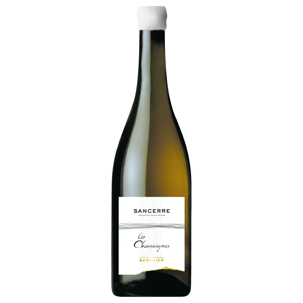 Clement & Florian Berthier Sancerre Les Chasseignes 2022