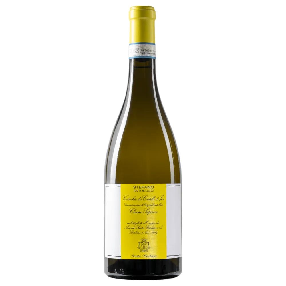 Santa Barbara Stefano Antonucci Verdicchio dei Castelli di Jesi Classico Superiore 2023