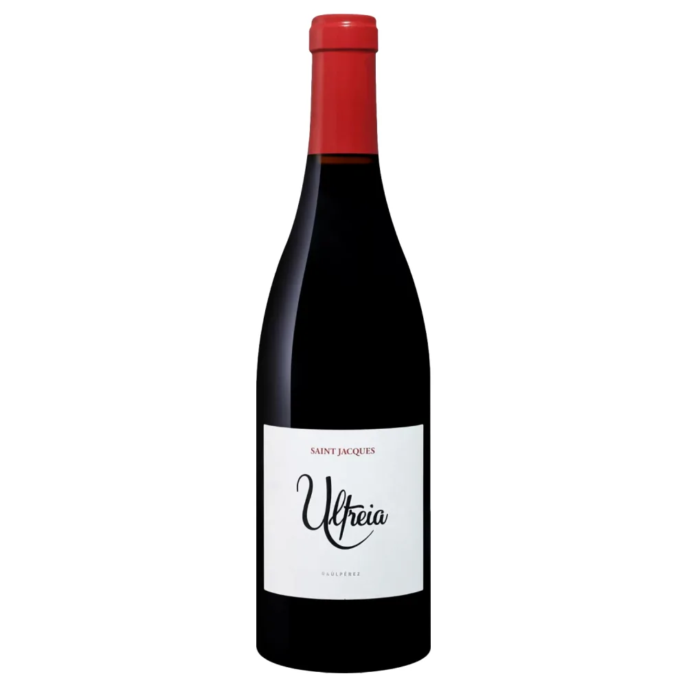 Raul Perez Ultreia Saint Jacques Mencia 2023