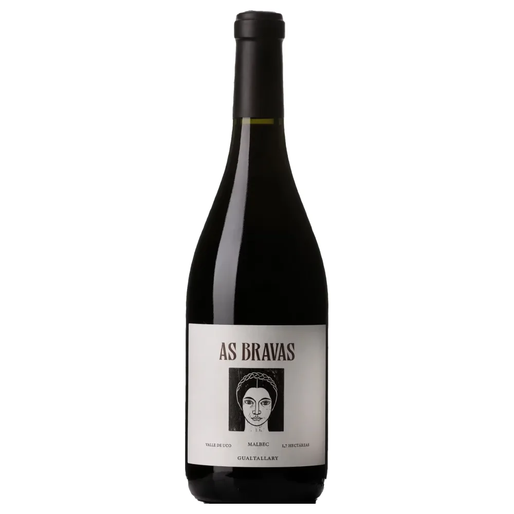 El Enemigo As Bravas Gualtallary Malbec 2018
