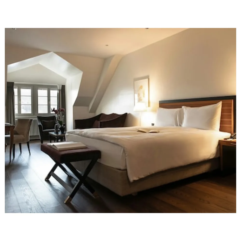 Hotel Bellevue Palace Bern