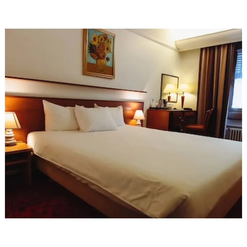 Hôtel Astoria