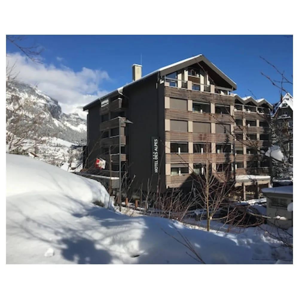 Hotel des Alpes