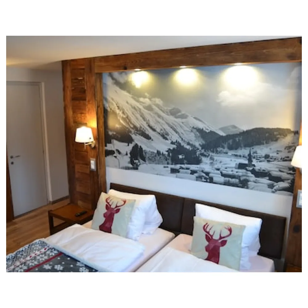 Mountain Lodge Sedrun