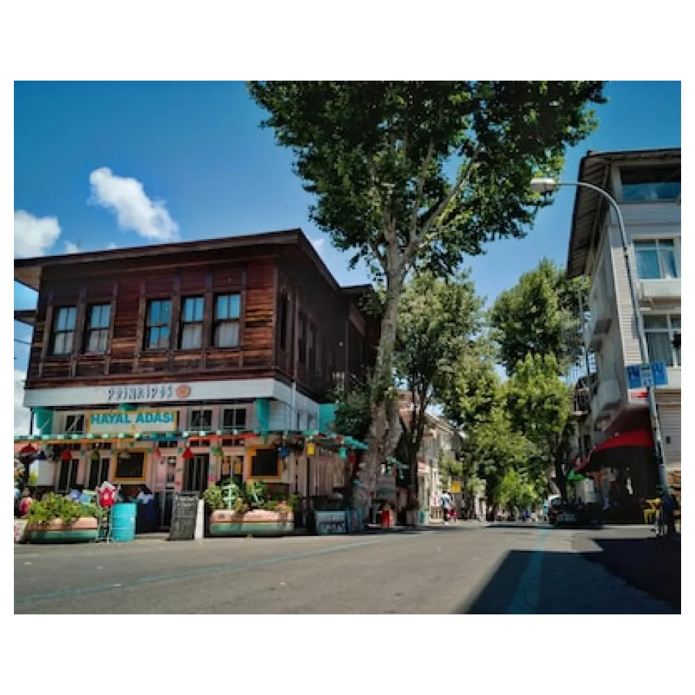 Hotel Prinkipos