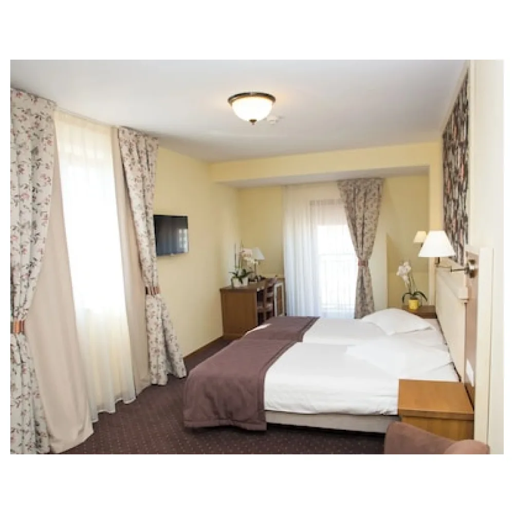 Hotel Leul de Aur
