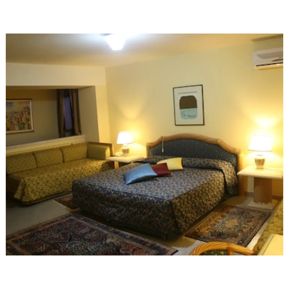 Hotel Elimo
