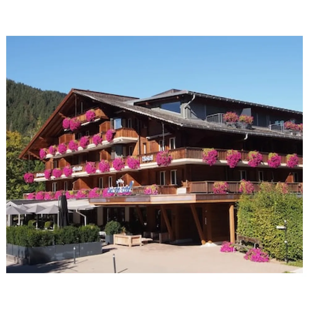 Hotel Arc-en-ciel Gstaad