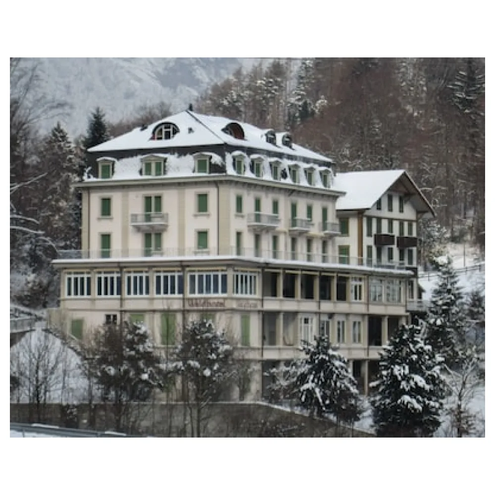 Waldhotel Unspunnen