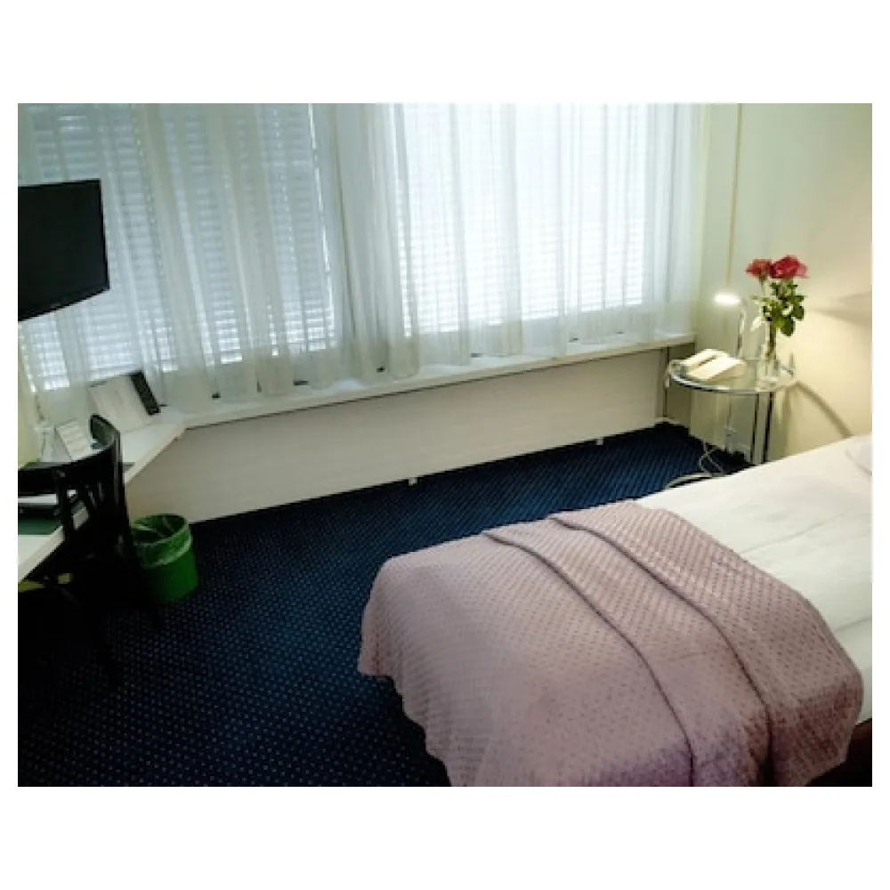 Hotel Dufour