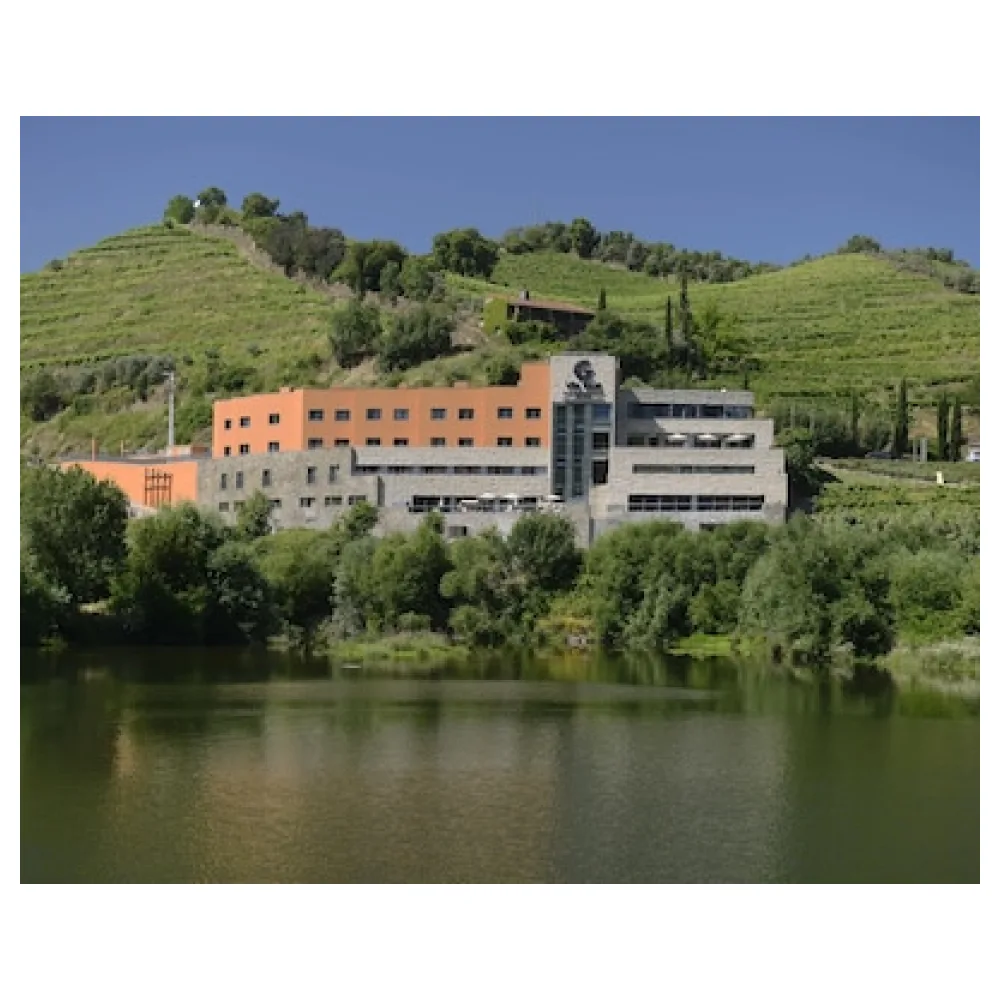 Vila Gale Collection Douro