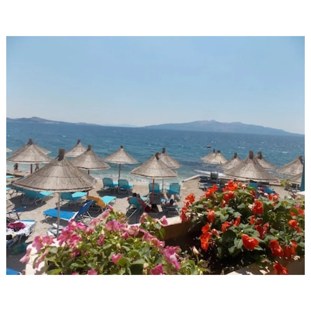 Oceanic Overview Suites