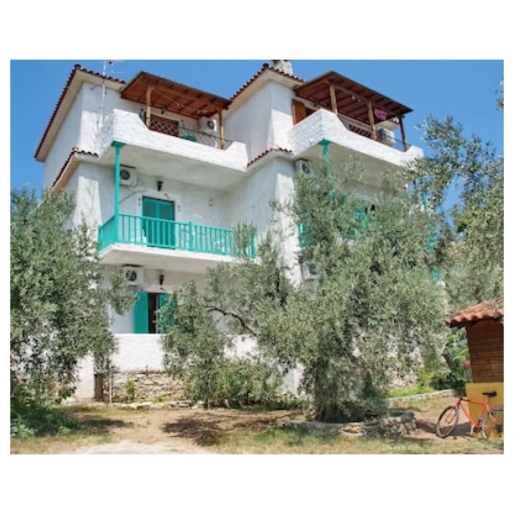 Azalea Studios