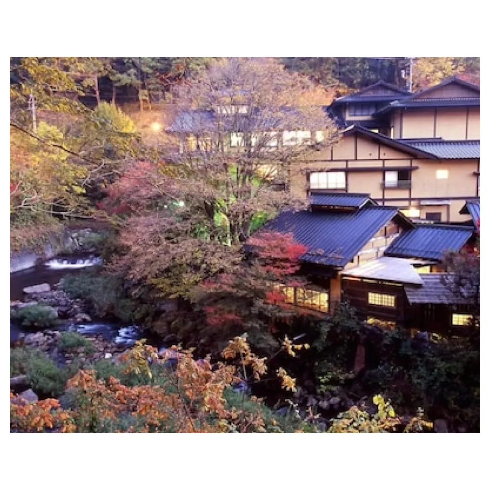 Kurokawa Onsen Yumerindo