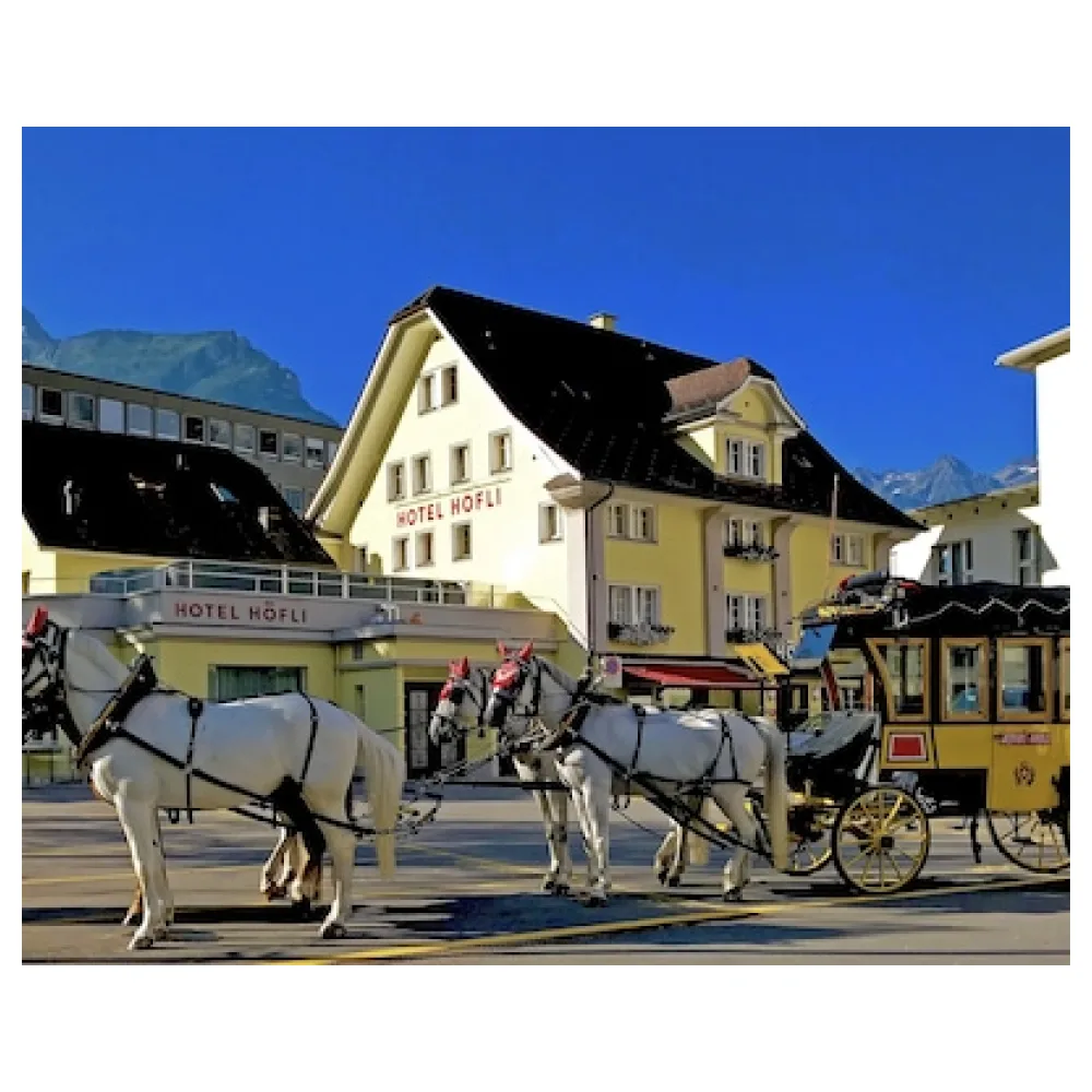Hotel Höfli