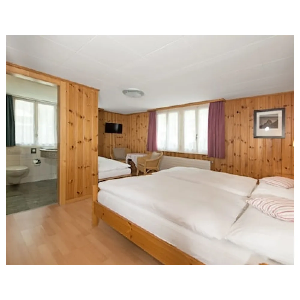 Hotel Alpina