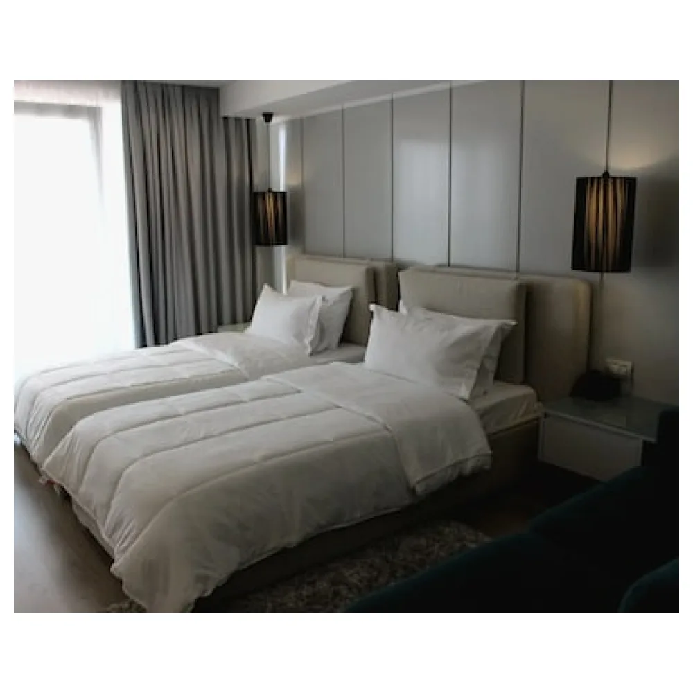 Demi Hotel