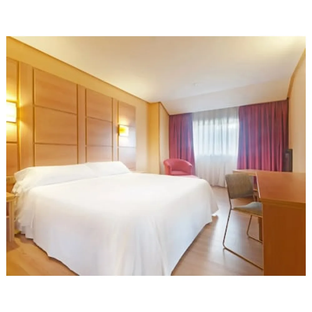 Hotel Puertollano