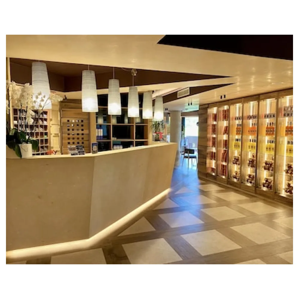 Alevic Hotel Sirmione