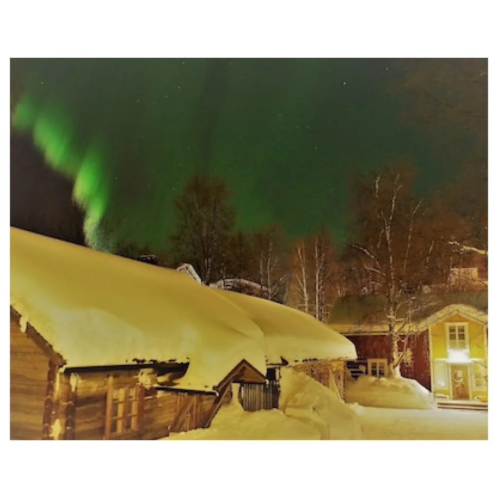 LAURI Historical Log House Manor