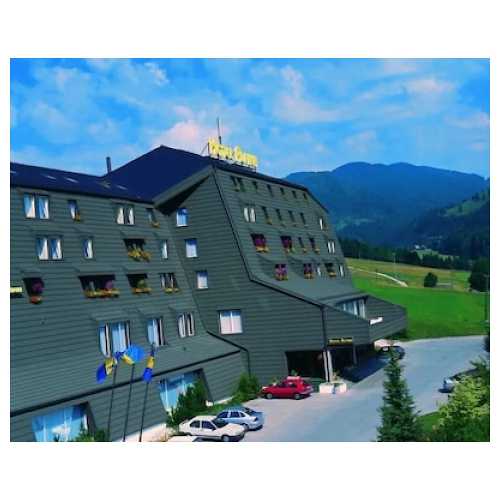 Hotel Alpina