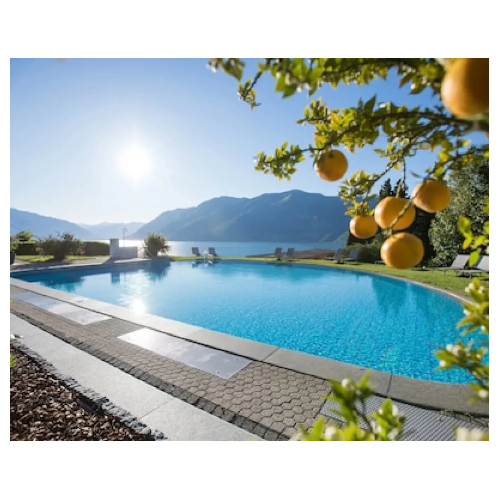 Parkhotel Brenscino Brissago