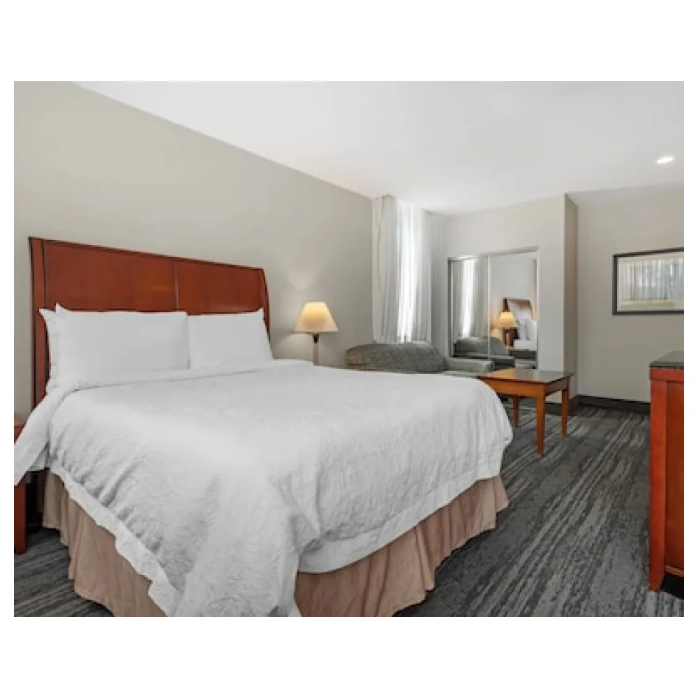 Best Western Plus Suites Downtown