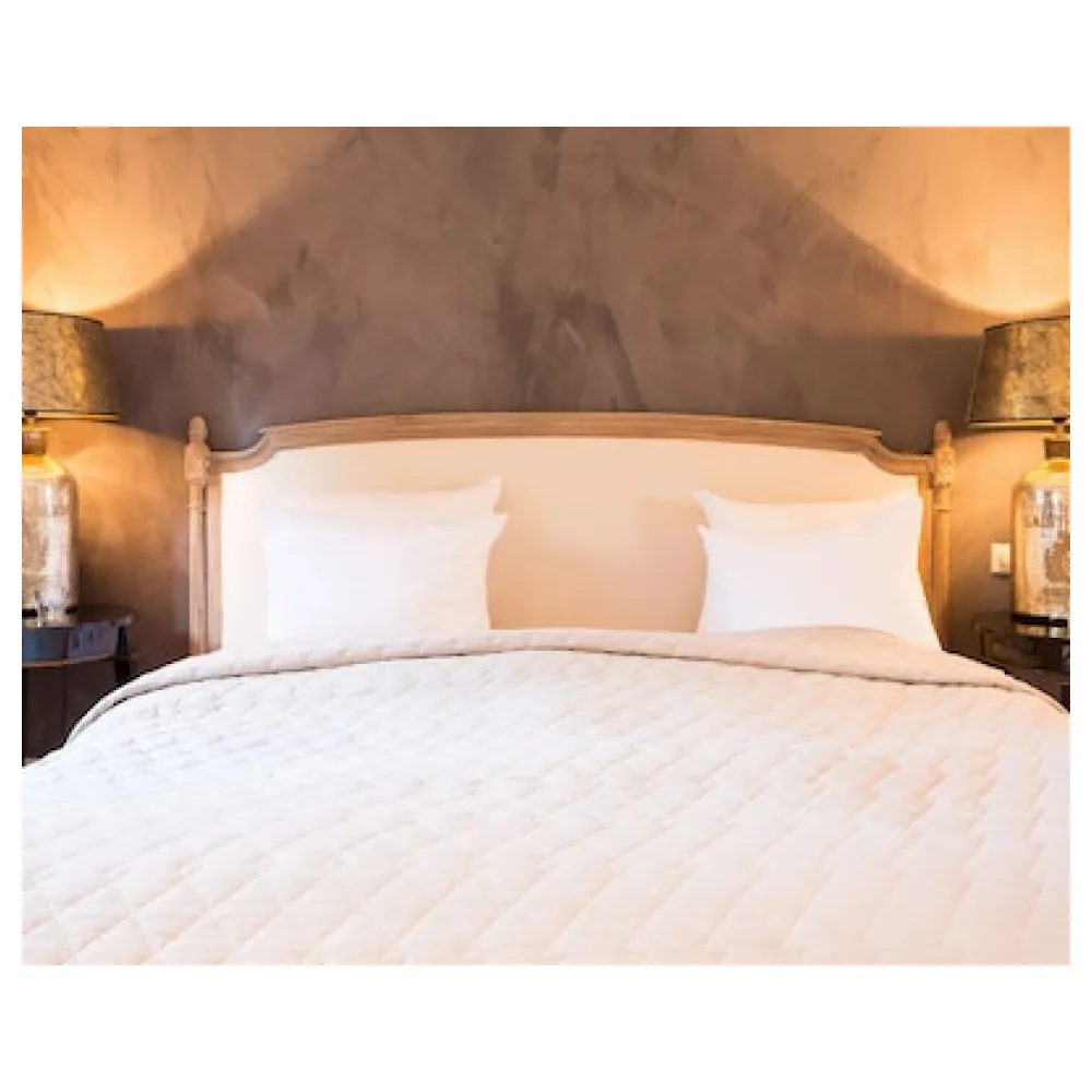Suitehotel Posthoorn