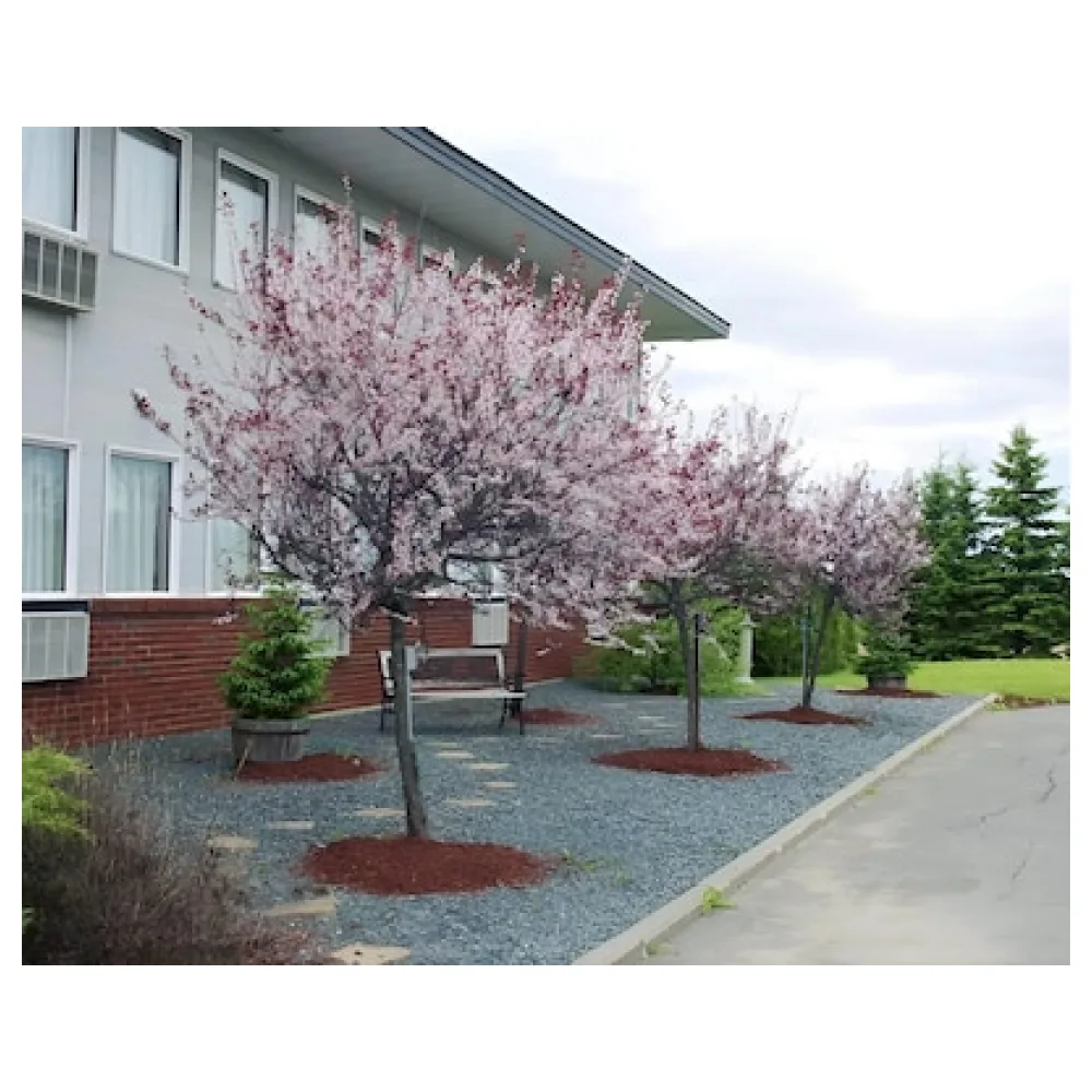 Ramada by Wyndham Florenceville