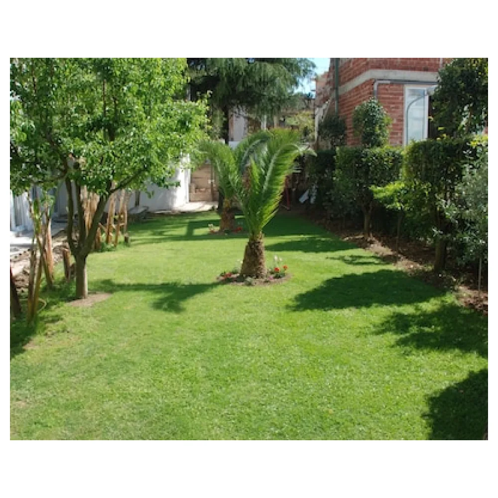 Villa Green Garden