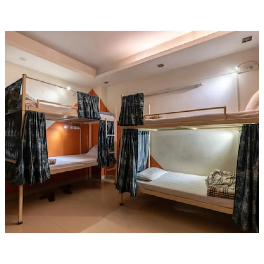 Amigosindia